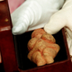 Illustration for article titled Are the Venus of Willendorf's Curves Too Hot for Facebook to Handle?